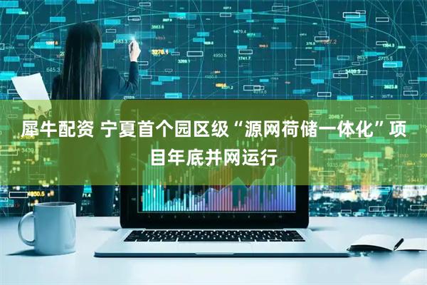 犀牛配资 宁夏首个园区级“源网荷储一体化”项目年底并网运行