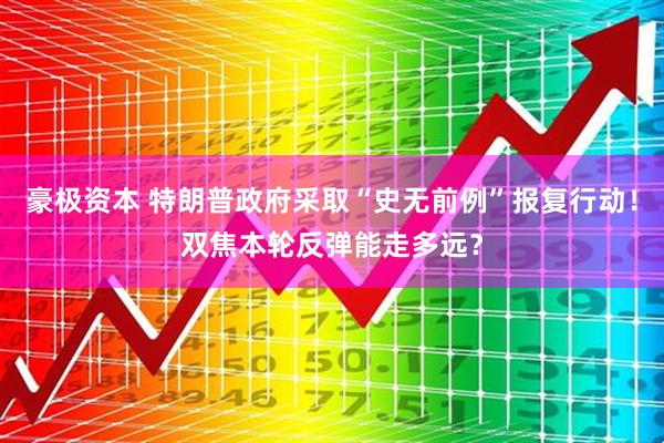豪极资本 特朗普政府采取“史无前例”报复行动！双焦本轮反弹能走多远？