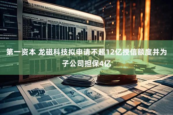 第一资本 龙磁科技拟申请不超12亿授信额度并为子公司担保4亿
