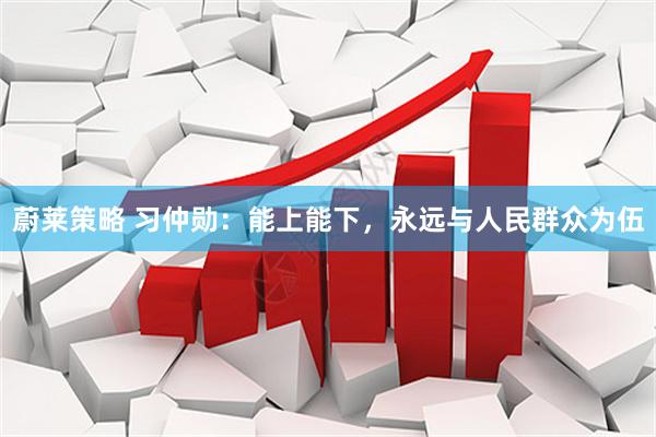 蔚莱策略 习仲勋：能上能下，永远与人民群众为伍