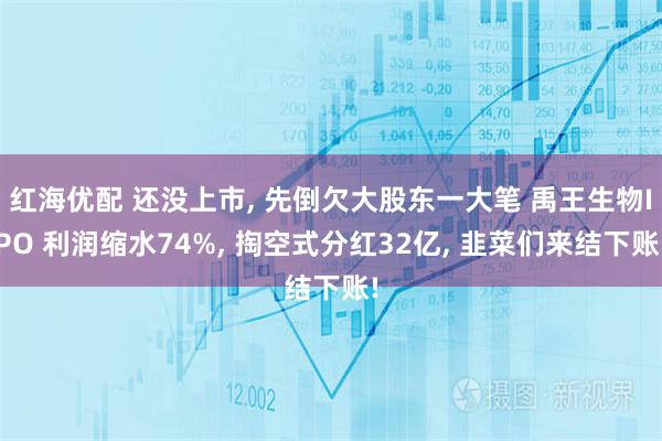 红海优配 还没上市, 先倒欠大股东一大笔 禹王生物IPO 利润缩水74%, 掏空式分红32亿, 韭菜们来结下账!
